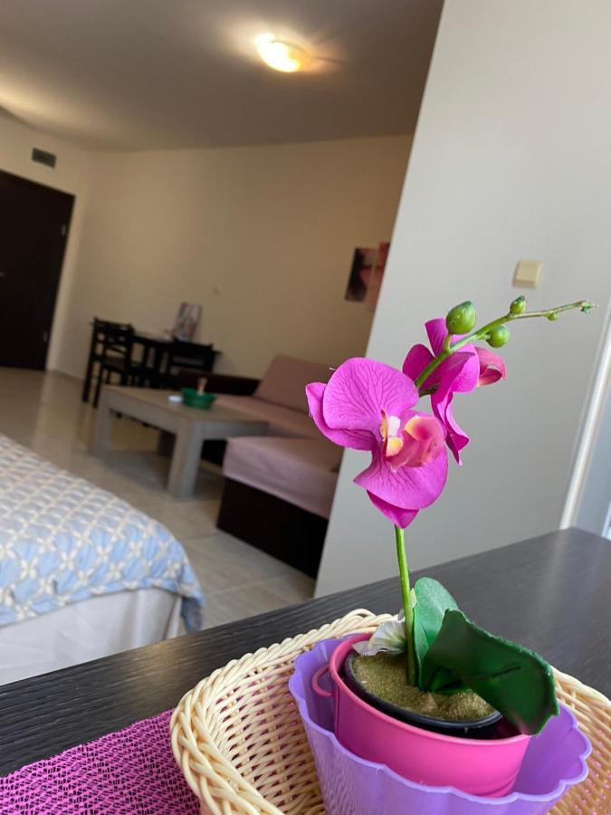 סאני ביץ' Cozy Apartment Saint Sofia מראה חיצוני תמונה